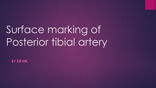 posterior tibial artery surface marking surface marking of posterior tibial artery [upl. by Eddra447]