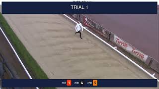 Sheffield Trials on 20th October 2024 [upl. by Alac281]