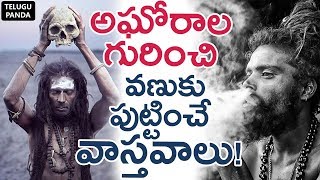 Unknown Facts About AGORAS Life Will Scare You  అఘోరాలు గురించి వణుకు పుట్టించే వాస్తవాలు [upl. by Cavan]