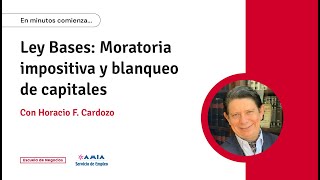 Ley Bases Moratoria impositiva y blanqueo de capitales  Con Horacio Cardozo [upl. by Kynthia]