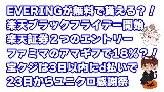 2万円の価値があるEVERING（エブリング）が高確率で当たりそうなので絶対やった方がイイ [upl. by Derfnam]