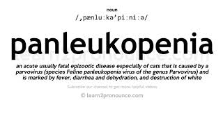 Pronunciation of Panleukopenia  Definition of Panleukopenia [upl. by Cathey]