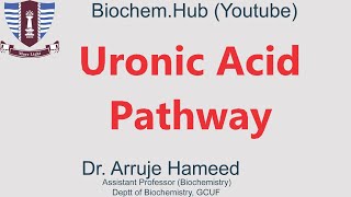 Lec 12 Uronic Acid Pathway [upl. by Ewold]