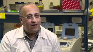 Breakthrough Cancer Research from Technion Professor Yehuda Assaraf [upl. by Kit]