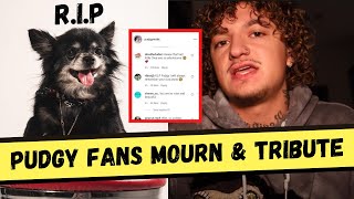 Sad News How Did Pudgy From TikTok Die Many Fans Mourn amp Pays Tribute [upl. by Kablesh991]