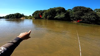 Encontrei um corta rio cheio de Tucunarés Robalos e outras variedades de peixes Pescaria [upl. by Warford]