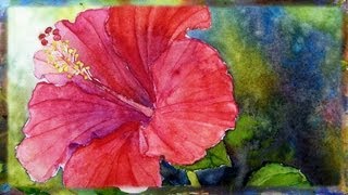 How To Paint the Red Hibiscus Flower In Watercolor By Ross Barbera [upl. by Niala]