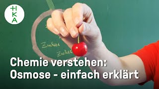 Was ist OSMOSE  Chemie einfach erklärt  SensorikStudium in Karlsruhe  Elektrotechnik [upl. by Drazze]