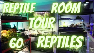 Reptile Room Tour 12222023 [upl. by Oralla]