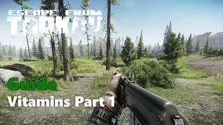 Tarkov  Vitamins Part 1 Guide [upl. by Linden]