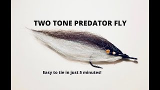 Two Tone Pike Fly Really easy to tie pattern for pike and predator fishing [upl. by Aikym]