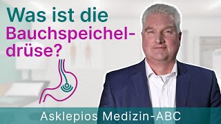 Was ist die Bauchspeicheldrüse  Medizin ABC  Asklepios [upl. by Nolie]