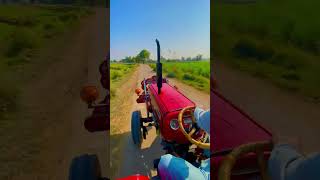 Chak Dio phaty farming belarustractor 260 tractorvideo 385 farming [upl. by Beghtol502]