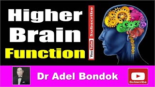 Higher Brain Function Dr Adel Bondok Making Anatomy Easy [upl. by Eydnarb]