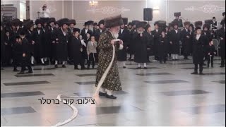 Viznitz Rebbe Dances Mitzvah Tantz [upl. by Anivad]