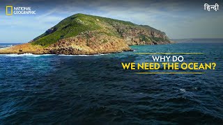 Why Do We Need the Ocean  Hostile Planet  Full Episode S01E02  हिन्दी  National Geographic [upl. by Eednam593]