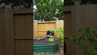 Gardening for Worldwide Suicide Prevention Week ￼ [upl. by Leandre]