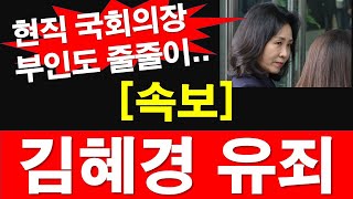 속보 경기도 법카 유용 김혜경 유죄 벌금 150만 원 현직 국회의장 부인도 줄줄이 레지스탕스TV 정광용TV [upl. by Raynell387]