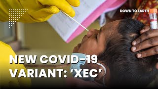 Why is the new COVID19 variant XEC more contagious [upl. by Ramhaj]