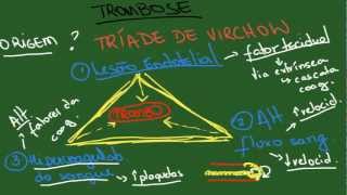 Trombose e Embolia  Resumo  Patologia Geral [upl. by Copp]