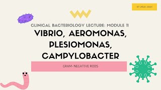 M11LEC Introduction to Vibrio Campylobacter Aeromonas and Plesiomonas Species [upl. by Dougy60]