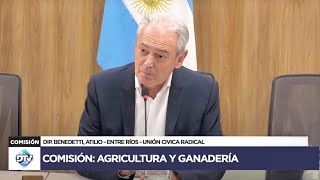 COMISIÓN COMPLETA AGRICULTURA Y GANADERÍA  9 de octubre de 2024  Diputados Argentina [upl. by Miof Mela]