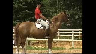 Equitation  Galop 1amp2  Cheval [upl. by Rip]