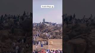 Arafat Dağı ⛰ love umre mekkah arafat mountains travel keşfetteyiz dua keşfet trending [upl. by Sausa]