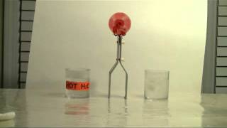 Thermoelectric PeltierSeebeck Effect Demonstration [upl. by Neelyar712]