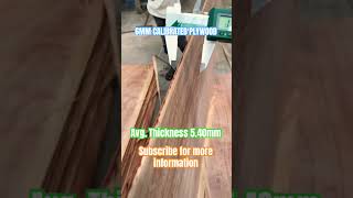 6MM CALIBRATED PLYWOOD plywood knowledge pankajsharma shorts calibrate plyboard doors 100k [upl. by Tannie]