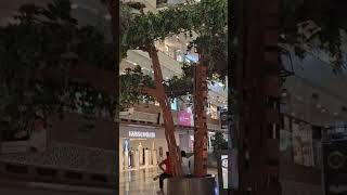 Gaur city mallmall greaternoida lifestyle life [upl. by Keldah]