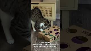 Subscribe for more cat stimulation tips cat cats [upl. by Eikcuhc101]