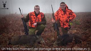 Chasse en Battue de Sangliers  Scènes de Chasse au poste  Chasse HD [upl. by Schlesinger640]