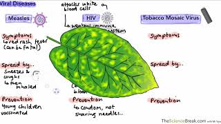 Communicable Diseases for AQA 91 GCSE Biology and Trilogy Combined Science [upl. by Lura]