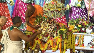 Radhaastami Adhivas Ceemony Sri Dham Mayapur  September 22 2023 [upl. by Anirad]