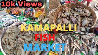 Kamapalli Fish MarketBiggest Fish Market in BerhampurBerhampur FoodEat Fit LifeJP [upl. by Sidonia]