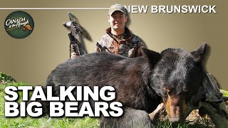 HeartStopping Black Bear Hunts in New Brunswick  Canada in the Rough [upl. by Shevlo891]