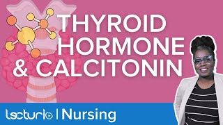 Thyroid Hormone and Calcitonin How are they connected  Lecturio Nursing Physiology [upl. by Luhar46]