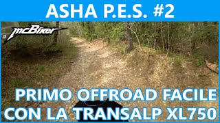 PRIMO OFFROAD SOFT CON LA TRANSALP XL750  RAW SOUND  ASHA PES 003 [upl. by Aratak]