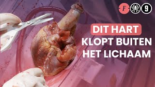 Meer harttransplantaties door heartinabox [upl. by Linc102]