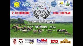 FCI HERDING DOG EUROPEAN CHAMPIONSHIP TS [upl. by Ataynek]