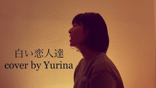 白い恋人達  桑田佳祐 cover by Yurina [upl. by Angi]