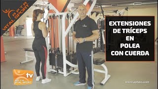 EXTENSIONES DE TRÍCEPS EN POLEA CON CUERDA Movimiento correcto [upl. by Eilla]