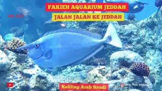 FAKIEH AQUARIUM JEDDAH [upl. by Ahseret289]