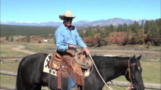 Pat Parelli Horse Training QampA  YoYo Game [upl. by Ennaylil626]