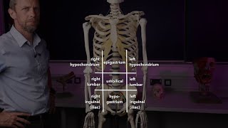 Remember 4 ABDOMINAL Quadrants EASY [upl. by Mok]