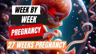 Week by Week Pregnancy  27 Weeks Pregnancy [upl. by Netnilc]