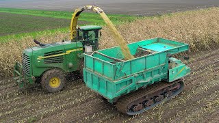 Mais hakselen amp overladen  Chopping maize  Maishäckseln  John Deere  IHI Rupsdumpers  DAF [upl. by Ilah466]