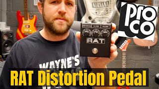 ProCo RAT 2 Distortion Pedal  Pedalboard Essentials [upl. by Eniruam]