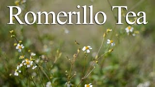 Natural Cough Remedies How to Make Romerillo Tea [upl. by Dlanger10]